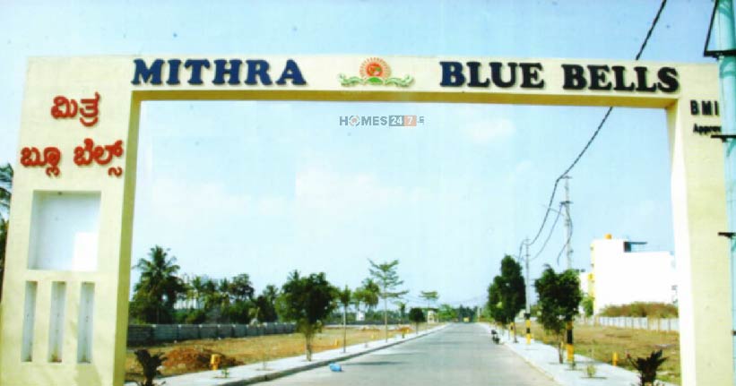 Mithra Blue Bells Cover Image